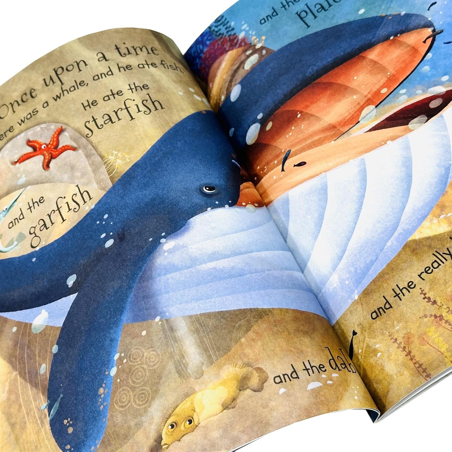 Stories From the Sea 10 Tales of Wild Animals Beneath the Waves Children's Books Collection Set - Lets Buy Books