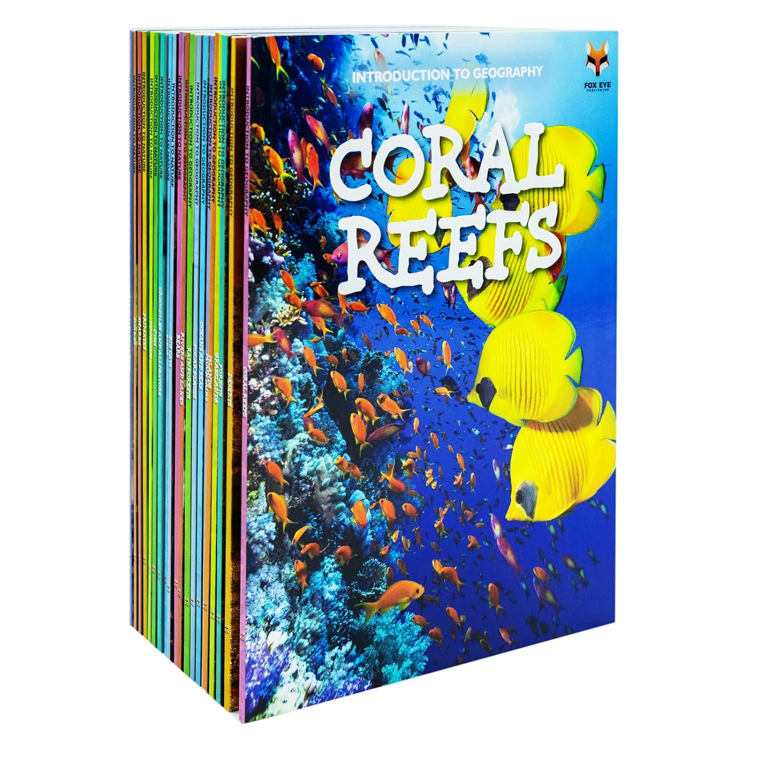 Children Introduction to Nature and Geography by Various Authors 20 Books Collection Set - Ages 3–7 - Board Book - Lets Buy Books