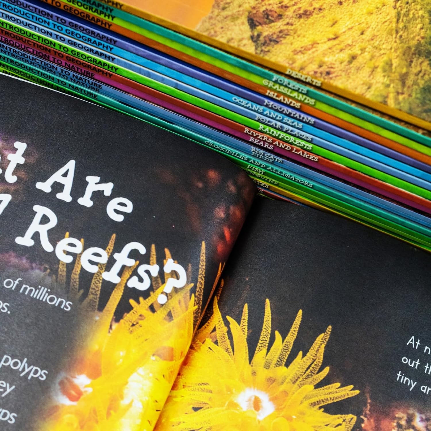 Children Introduction to Nature and Geography by Various Authors 20 Books Collection Set - Ages 3–7 - Board Book - Lets Buy Books