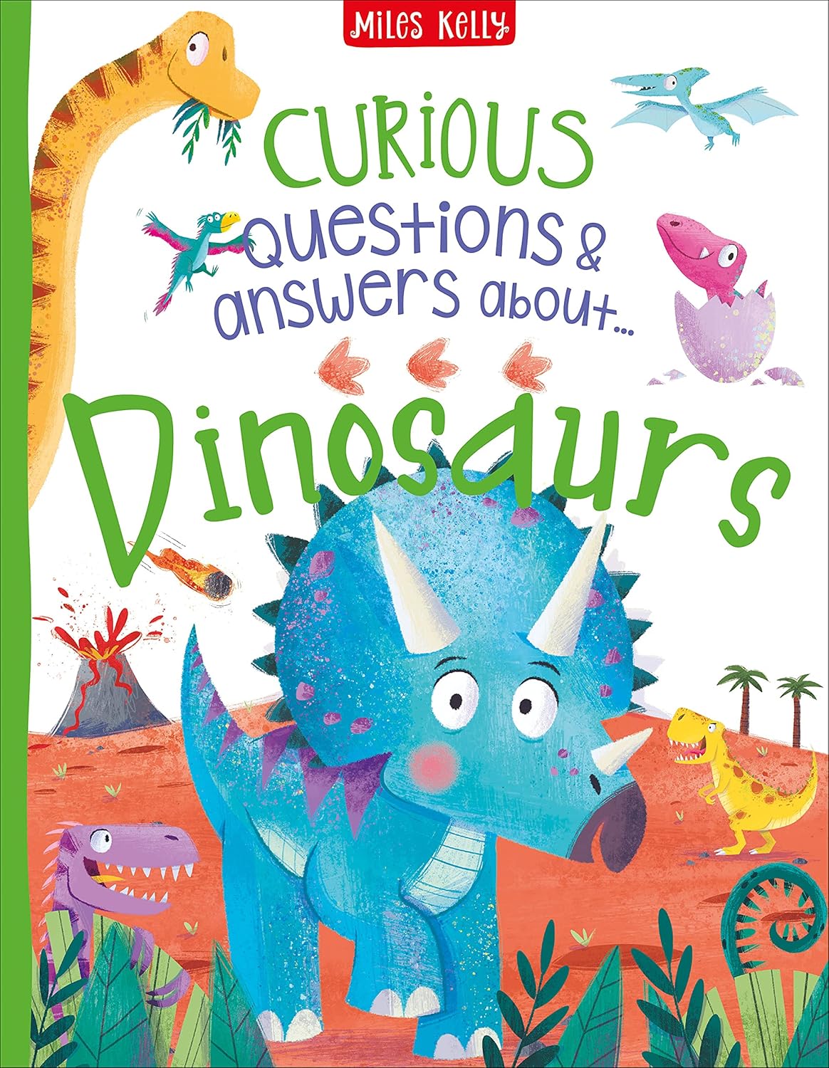A Curious Collection of Questions and Answers 8 Books Collection Box Set Paperback - Lets Buy Books