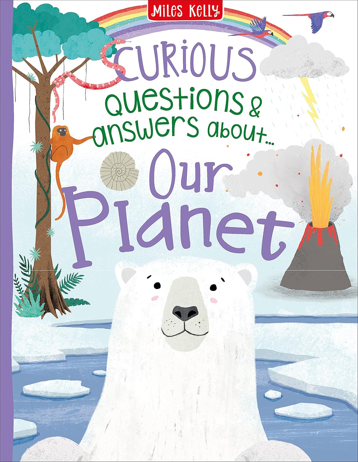 A Curious Collection of Questions and Answers 8 Books Collection Box Set Paperback - Lets Buy Books