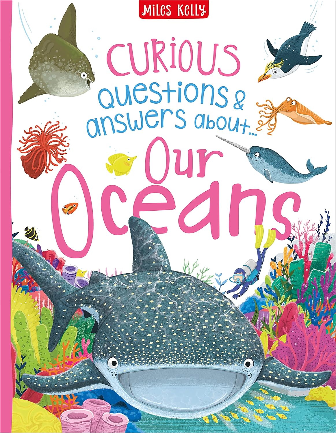 A Curious Collection of Questions and Answers 8 Books Collection Box Set Paperback - Lets Buy Books