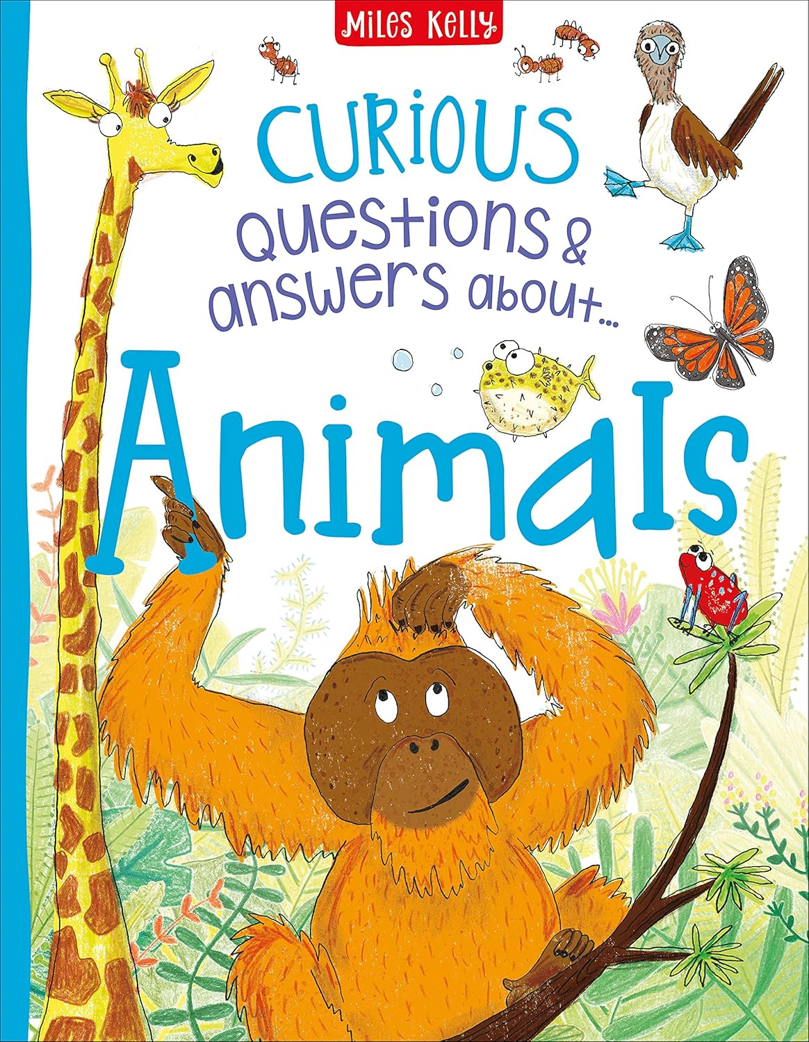 A Curious Collection of Questions and Answers 8 Books Collection Box Set Paperback - Lets Buy Books