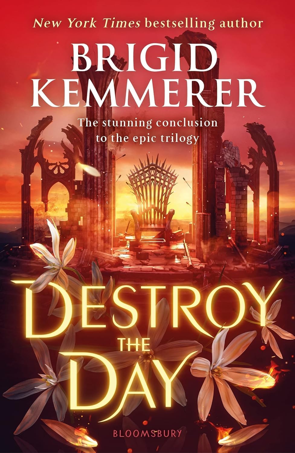 Defy the Night Series 3 Books Collection Set By Brigid Kemmerer (Defy the Night, Defend the Dawn & Destroy the Day) - Lets Buy Books