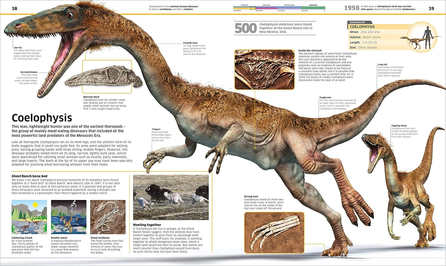 Knowledge Encyclopedia Dinosaur!: Over 60 Prehistoric Creatures as You've Never Seen Them Before (Knowledge Encyclopedias) - Lets Buy Books