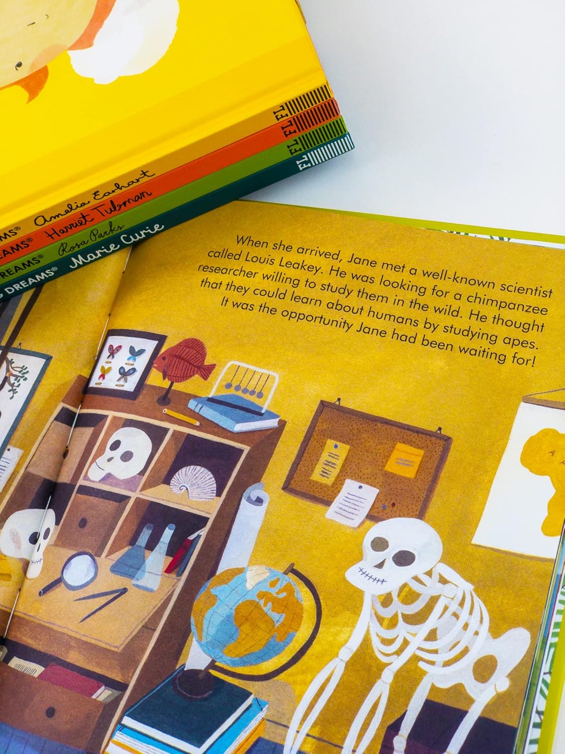 Little People, Big Dreams Trailblazing Women 5 Books Gift Set Amelia Earhart, Marie Curie - Lets Buy Books