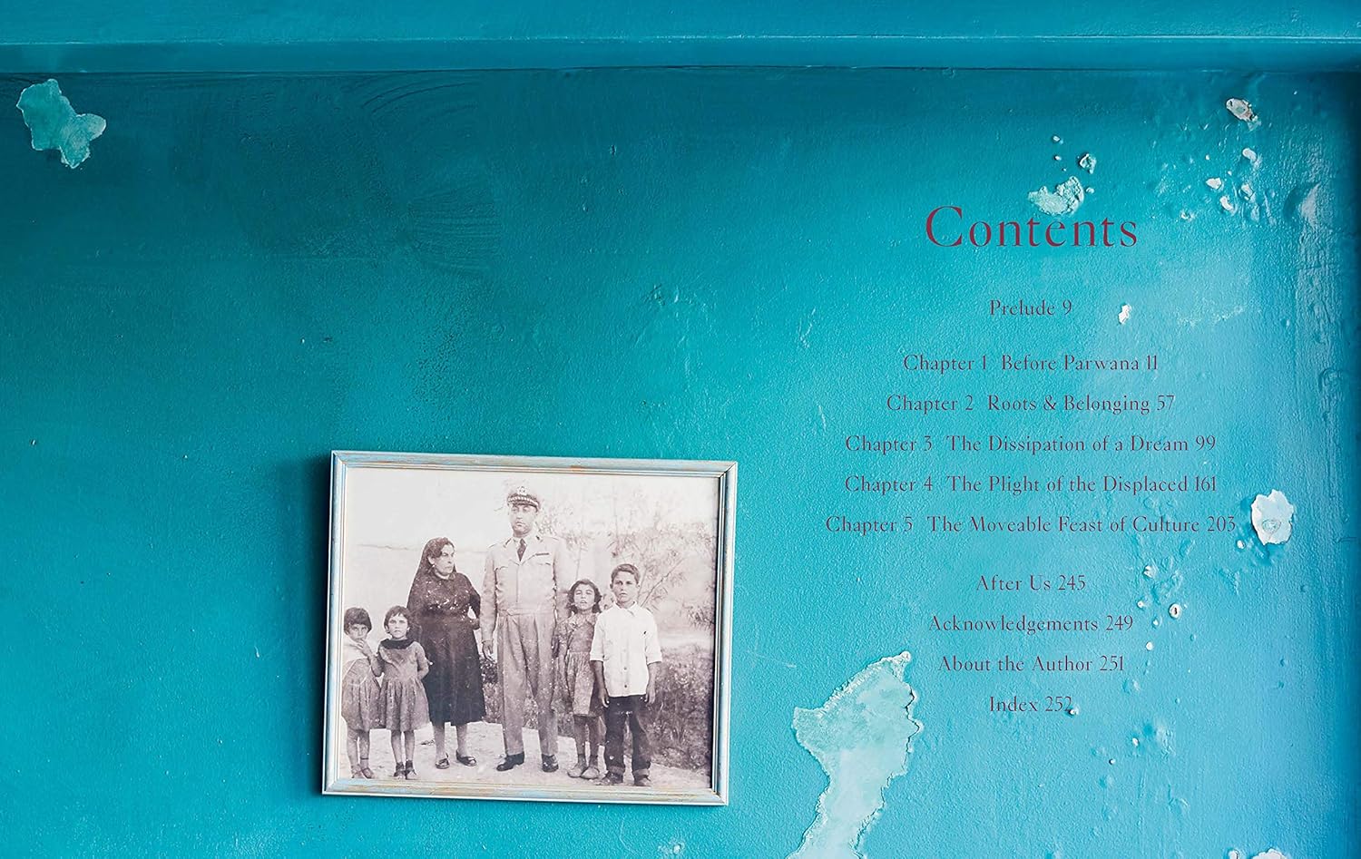 Parwana: Recipes and stories from an Afghan kitchen by Durkhanai Ayubi Hardcover - Lets Buy Books