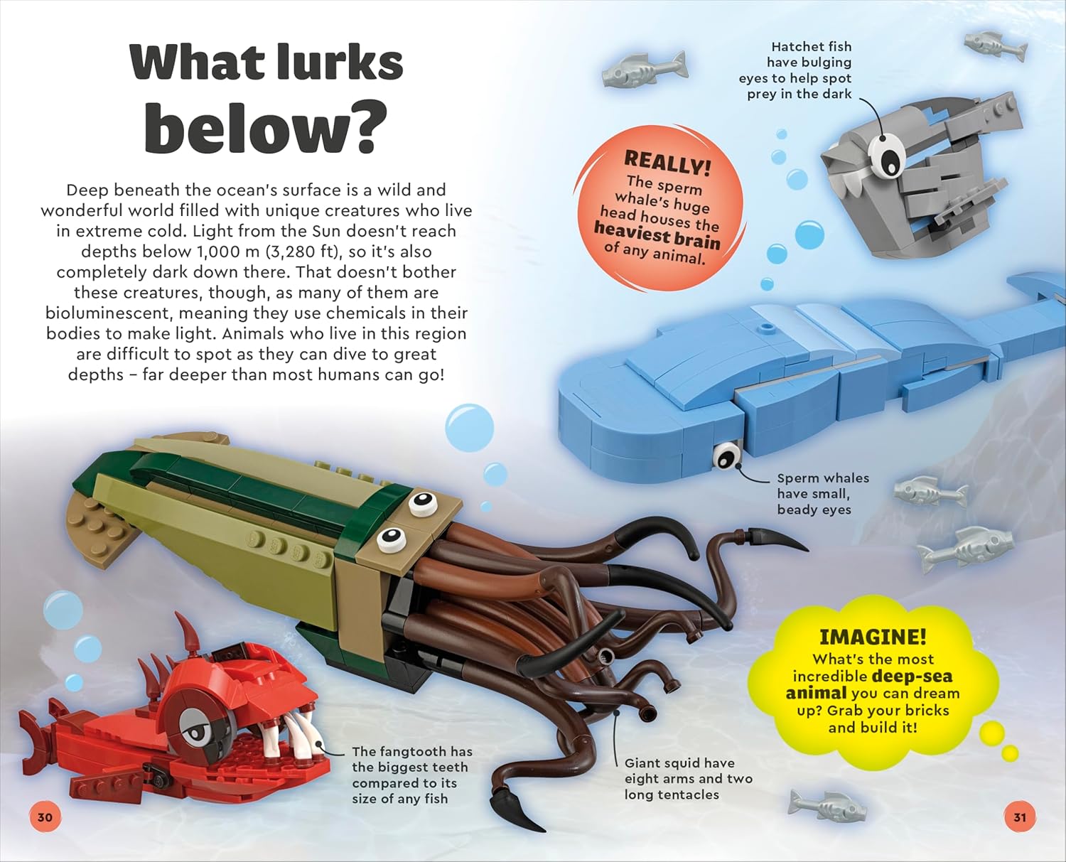 LEGO Our Amazing Universe: World Book Day 2025: Fantastic Building Ideas and Facts - Lets Buy Books