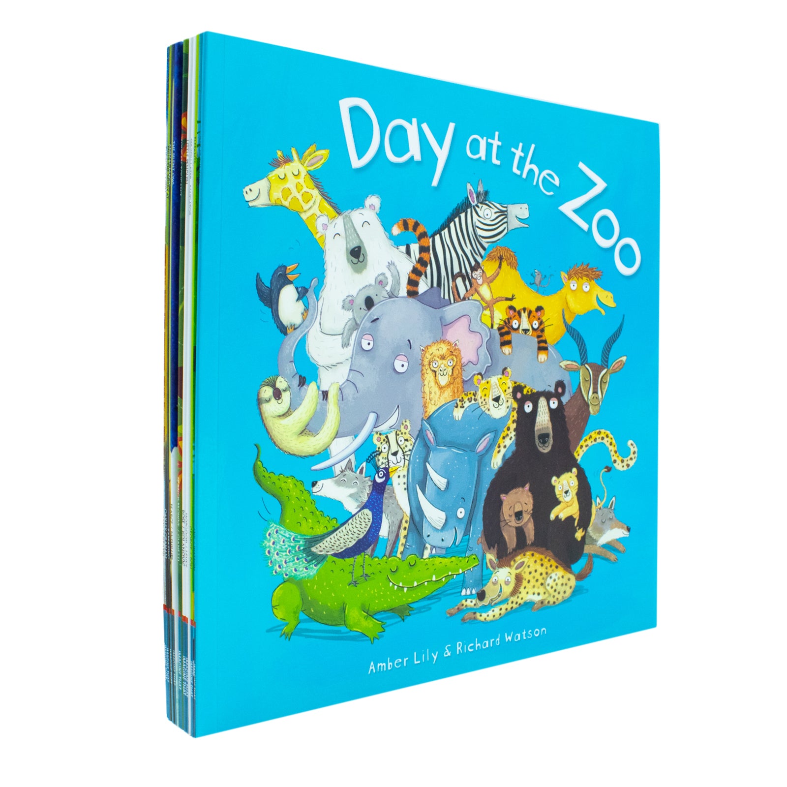 A Day at the Zoo 10 Animal Stories Picture Flats Collection - front cover, paperback set for ages 4-8