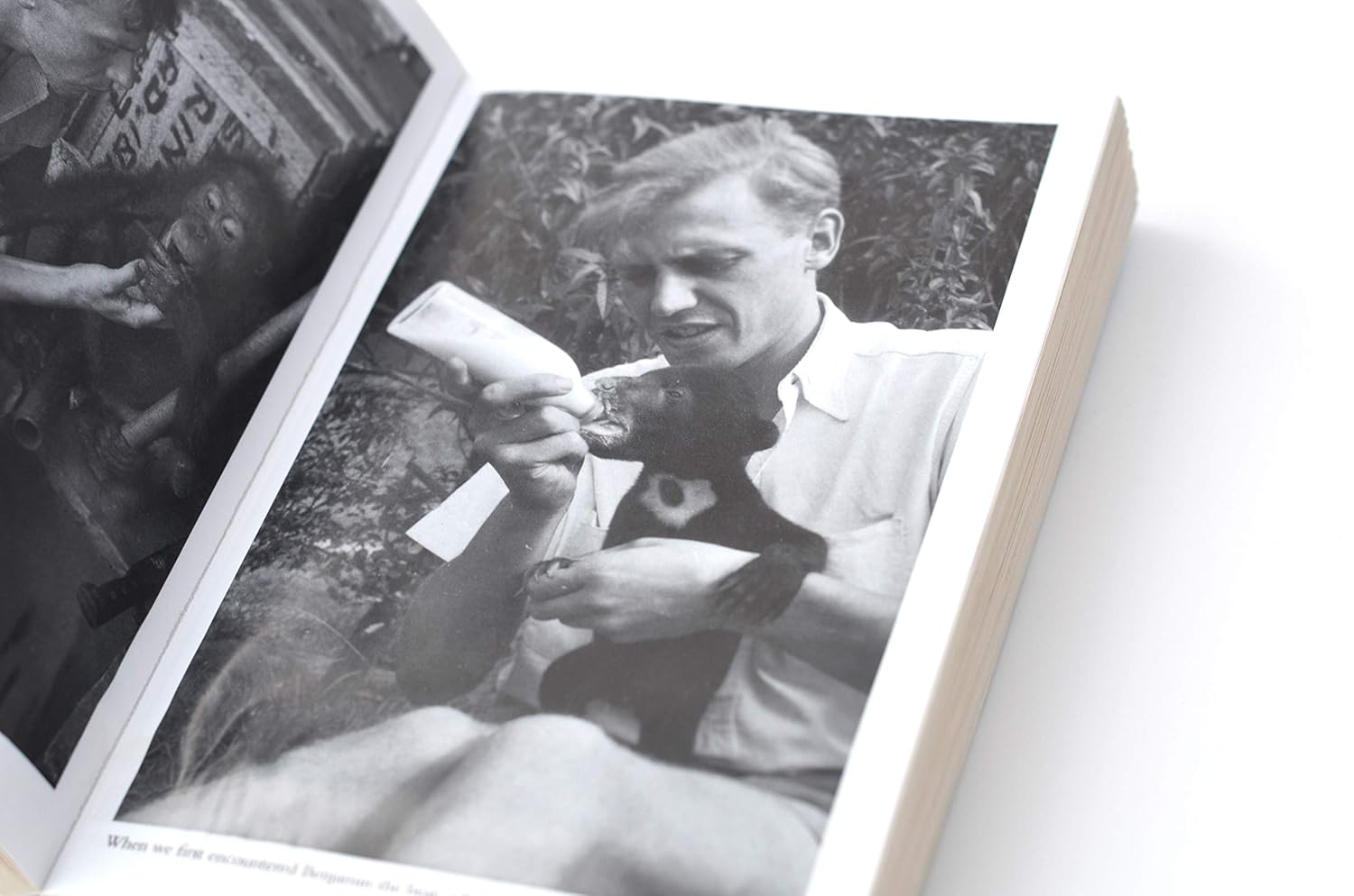 Adventures of a Young Naturalist by Sir David Attenborough - Zoo Quest Expeditions - Paperback detail view