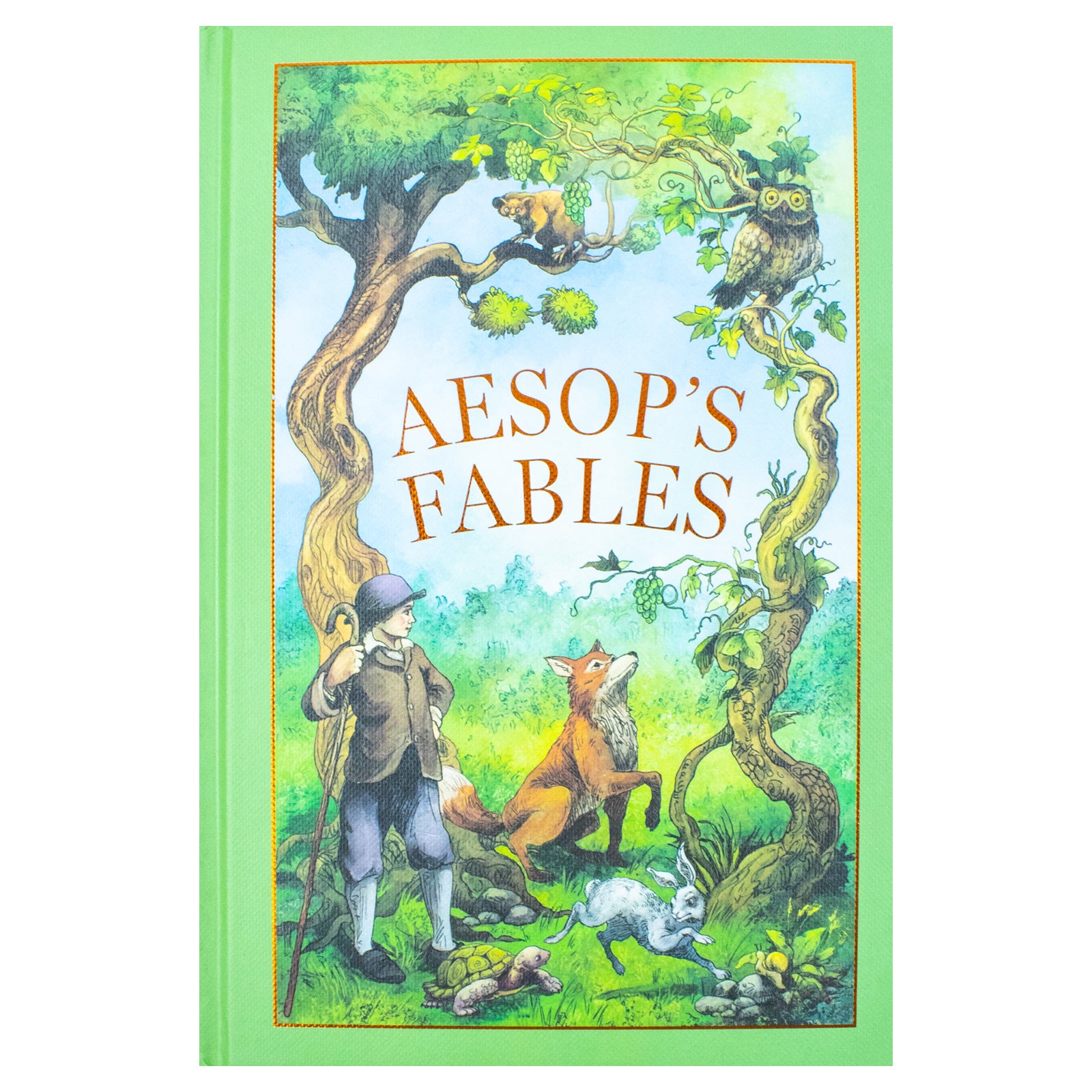 Aesop's Fables by Aesop - brand new leather bound classic edition of moral tales, gift book for all ages