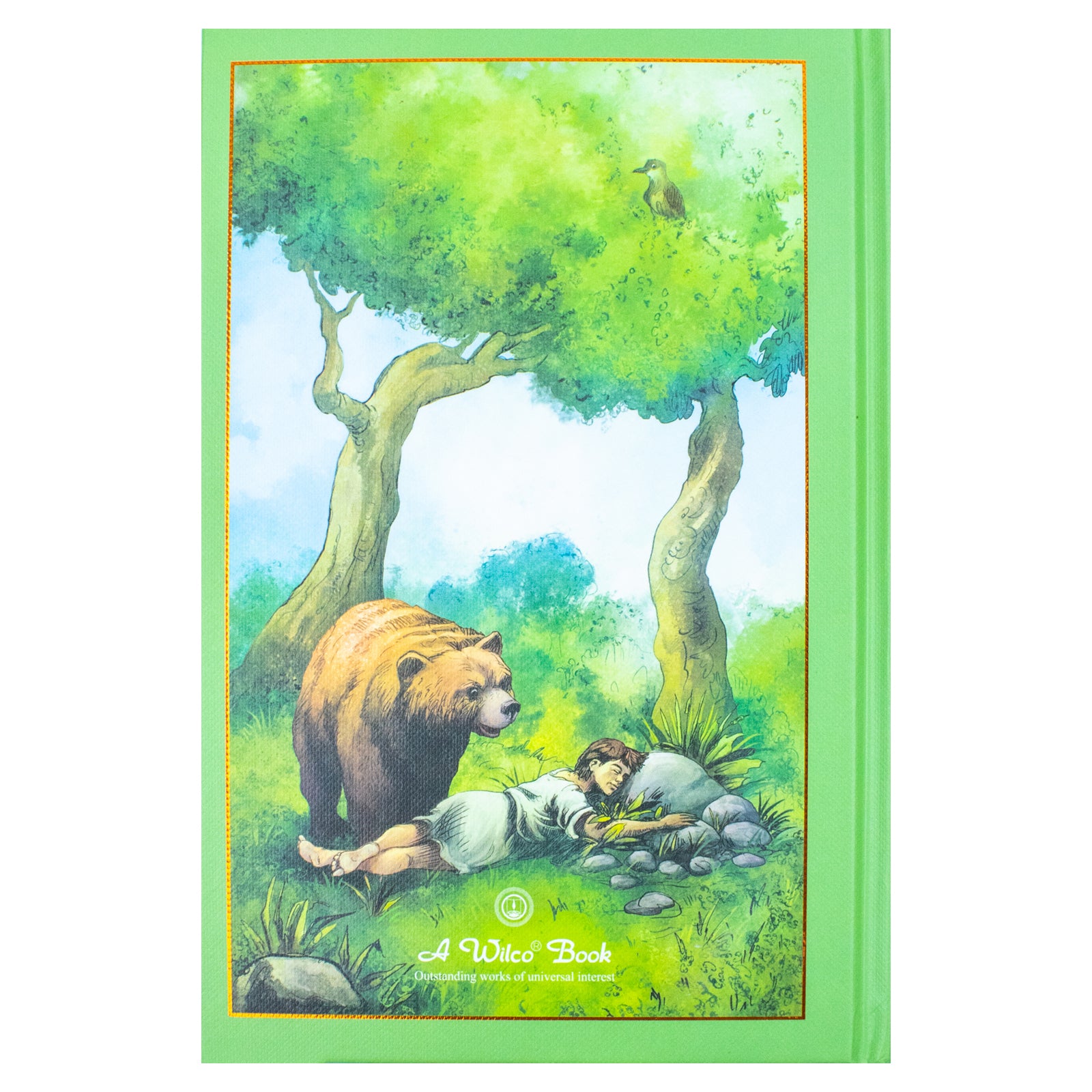 Aesop's Fables by Aesop - brand new leather bound classic edition of moral tales, gift book for all ages