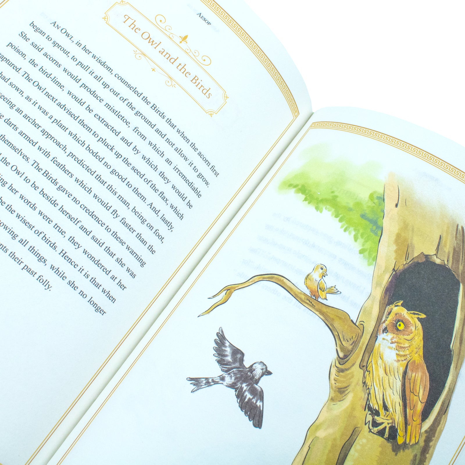 Aesop's Fables by Aesop - brand new leather bound classic edition of moral tales, gift book for all ages