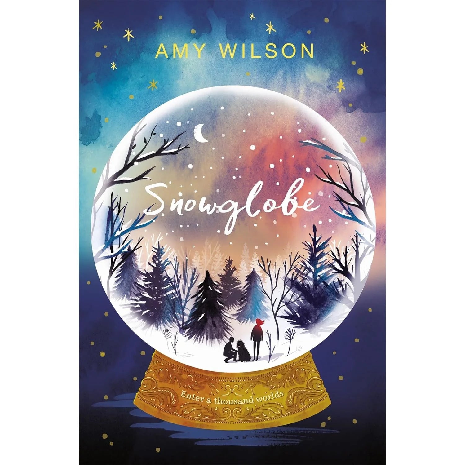 Owl and the Lost Boy by Amy Wilson - Paperback - Ages 9-12 Fantasy Fiction