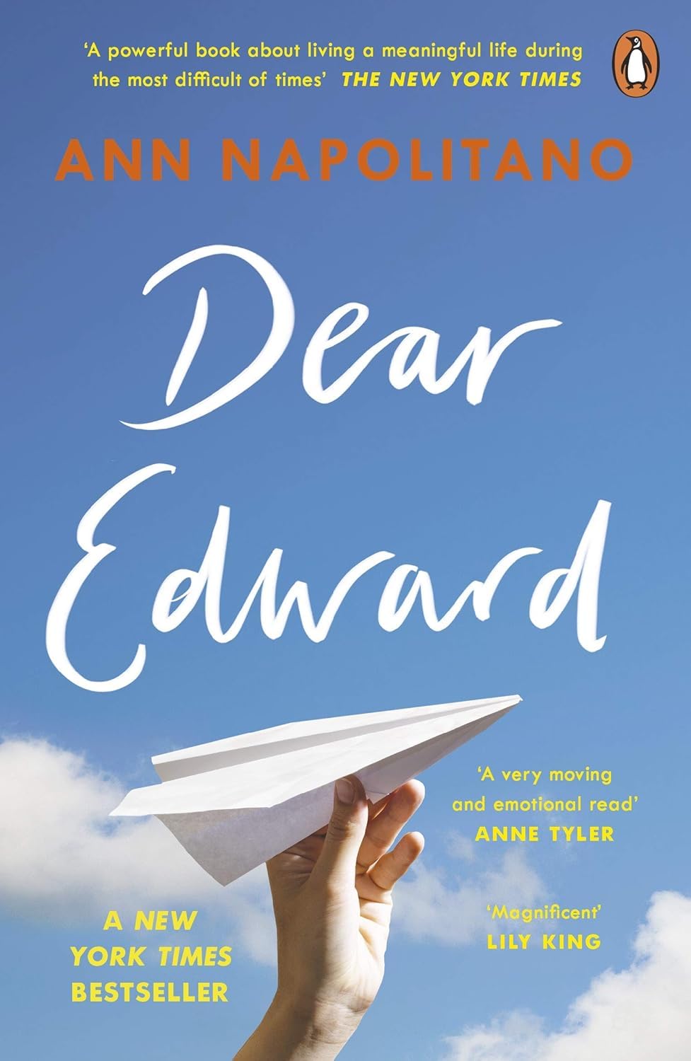 Ann Napolitano paperback collection, Dear Edward and Hello Beautiful, book set packaging