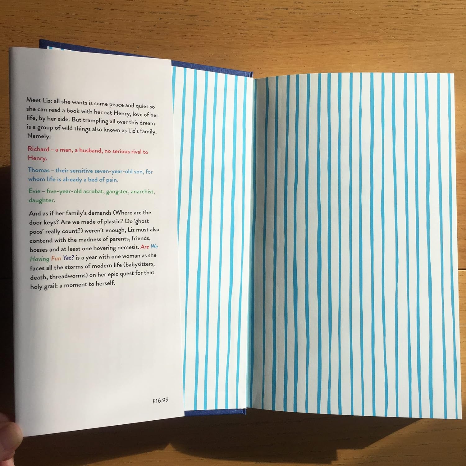 Are We Having Fun Yet? by Lucy Mangan - hardback novel back cover with review quotes