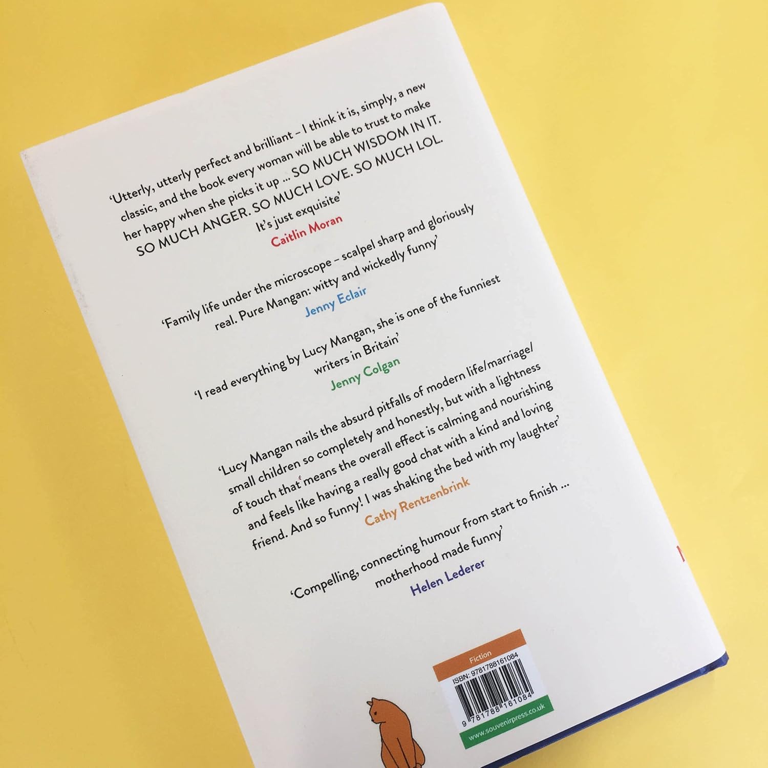 Are We Having Fun Yet? by Lucy Mangan - hardback novel spine and cover view