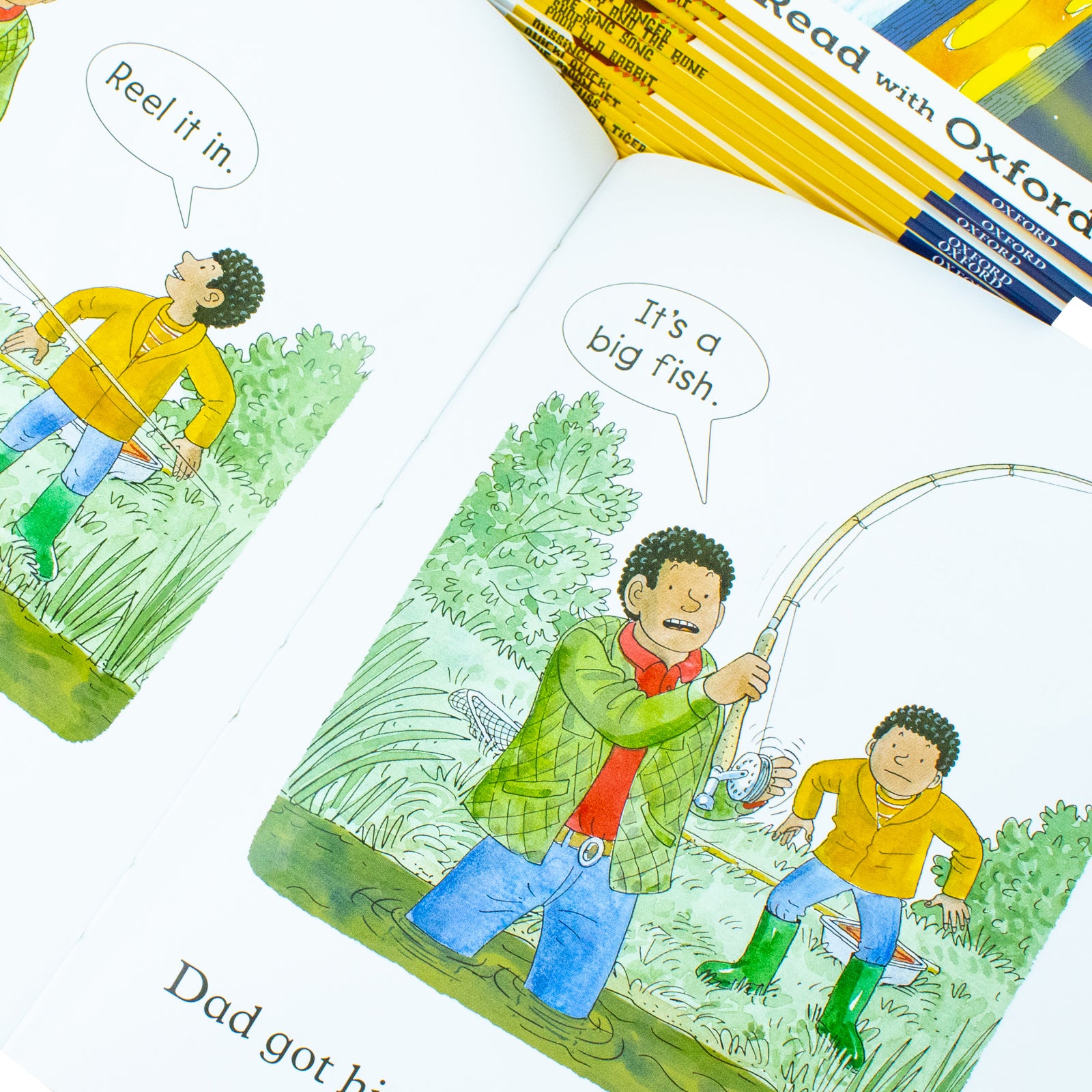 Full Biff, Chip and Kipper Read with Oxford Stage 2 16 Books Collection Set paperback bundle
