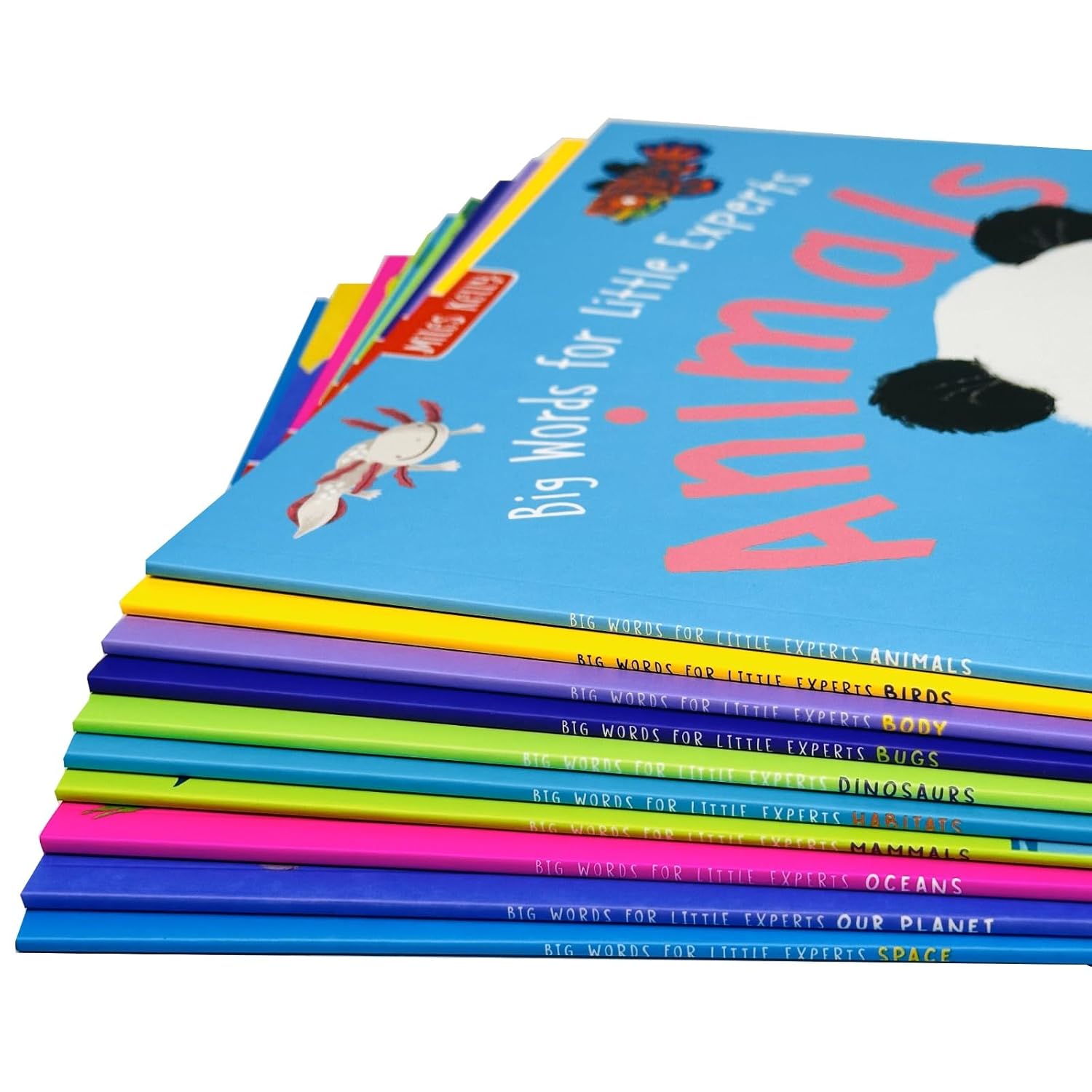 Big Words for Little Experts 10 Books Collection Set covers - Animals, Birds, Body, Bugs, Dinosaurs, Habitats, Mammals, Oceans, Our Planet, Space - Paperback