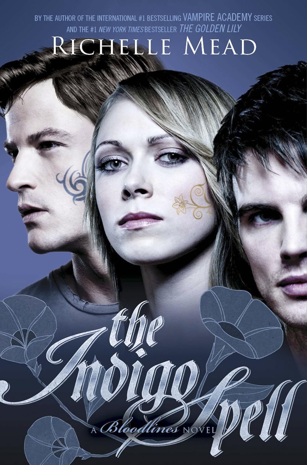 Bloodlines Richelle Mead Young Adult Paperback Set - close up of book spines