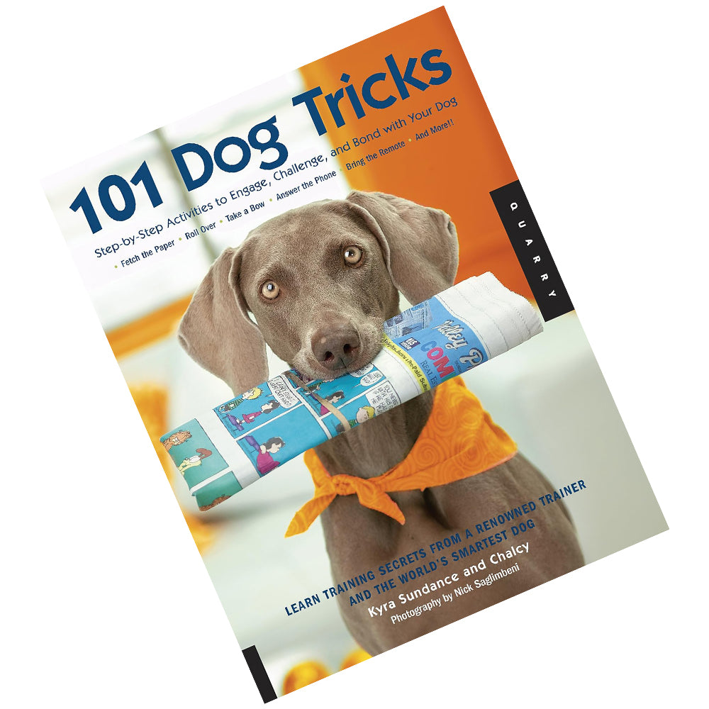 101 Dog Tricks Step by Step Activities to Engage, Challenge By Kyra Sundance Paperback - Lets Buy Books