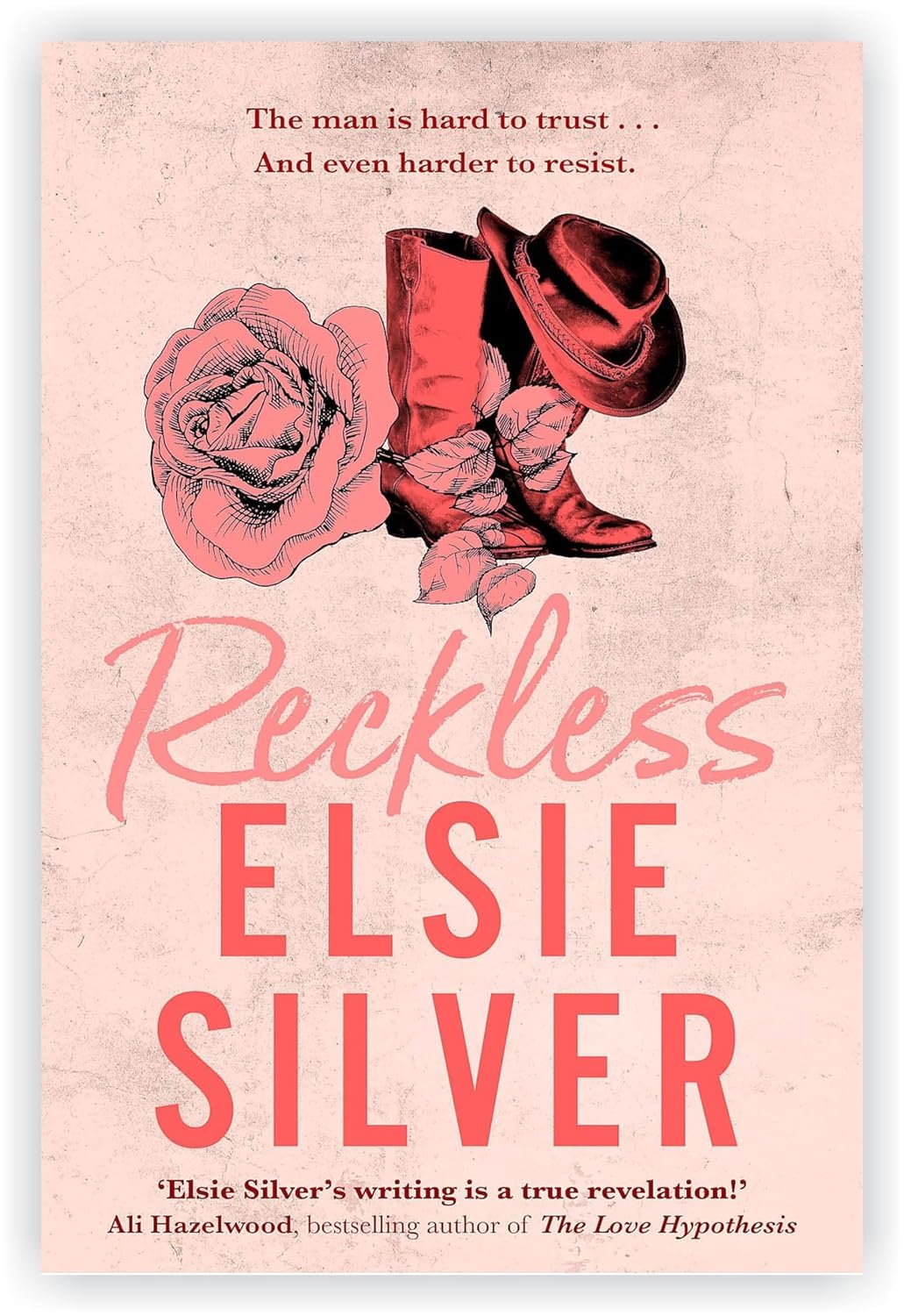 Elsie Silver Chestnut Springs 5 book paperback collection - stacked book covers