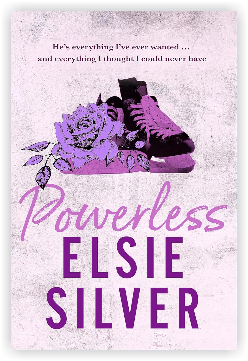Chestnut Springs series paperback set by Elsie Silver - spine and cover view