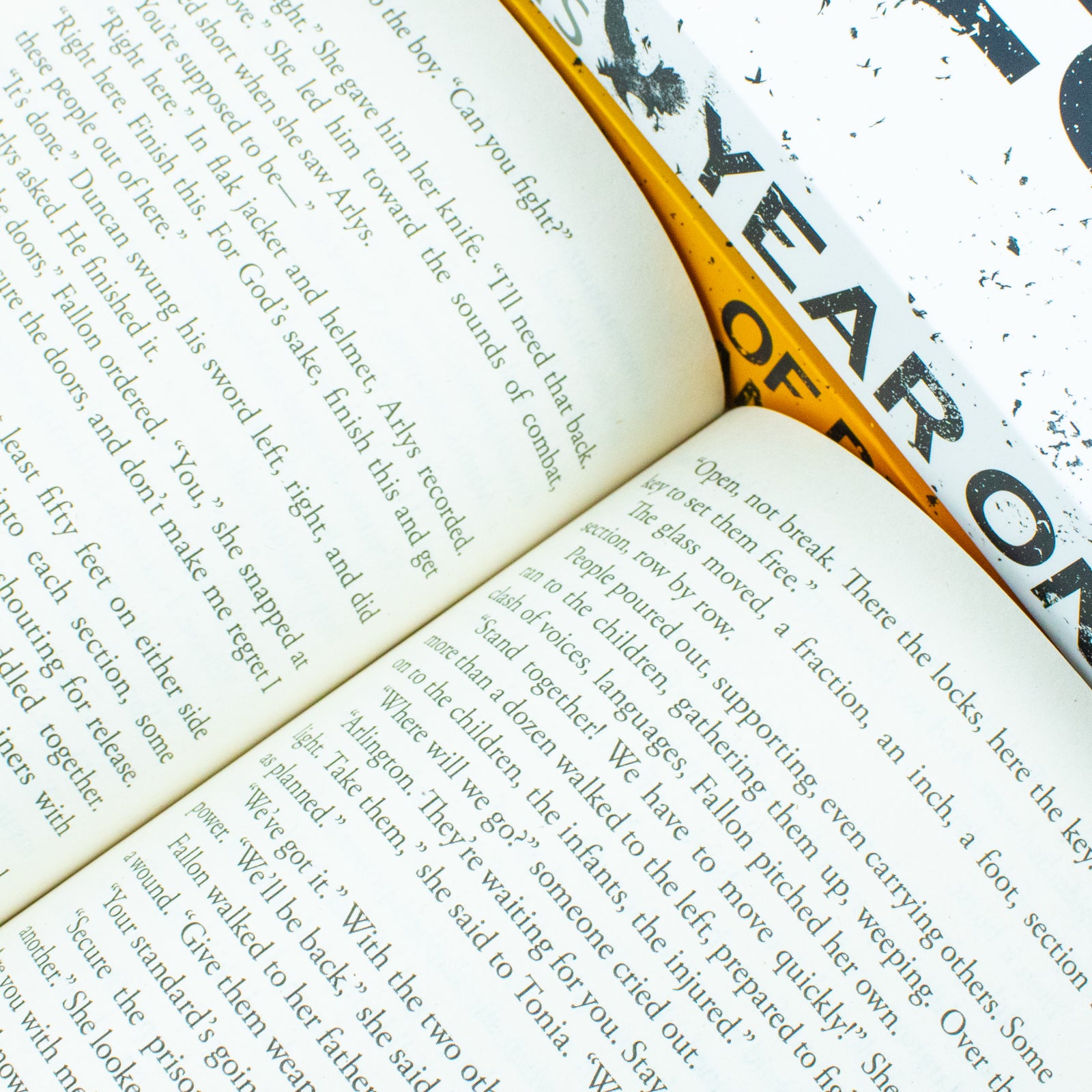 Chronicles of The One trilogy paperback set by Nora Roberts - back cover and spine detail
