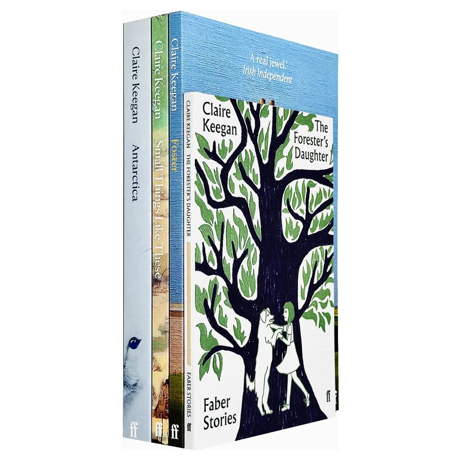 Claire Keegan 4 Book Collection Set paperback - Antarctica, The Forester's Daughter, Foster, Small Things Like These