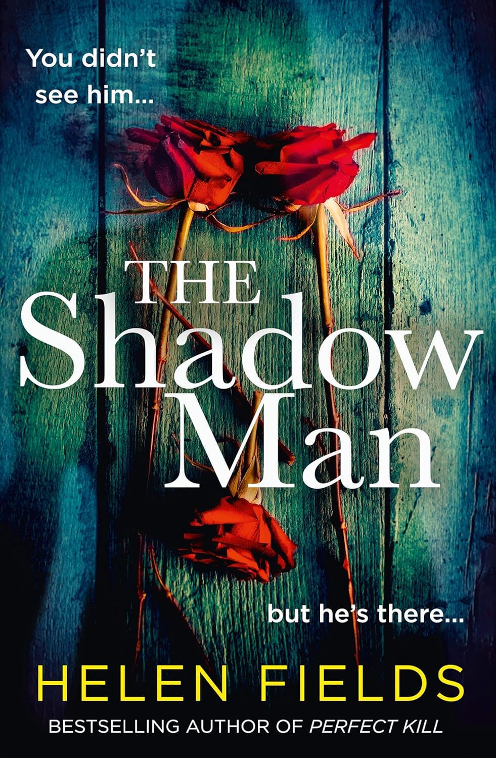 Connie Woolwine 2 Books Set by Helen Fields - brand new paperback covers - The Shadow Man and The Institution