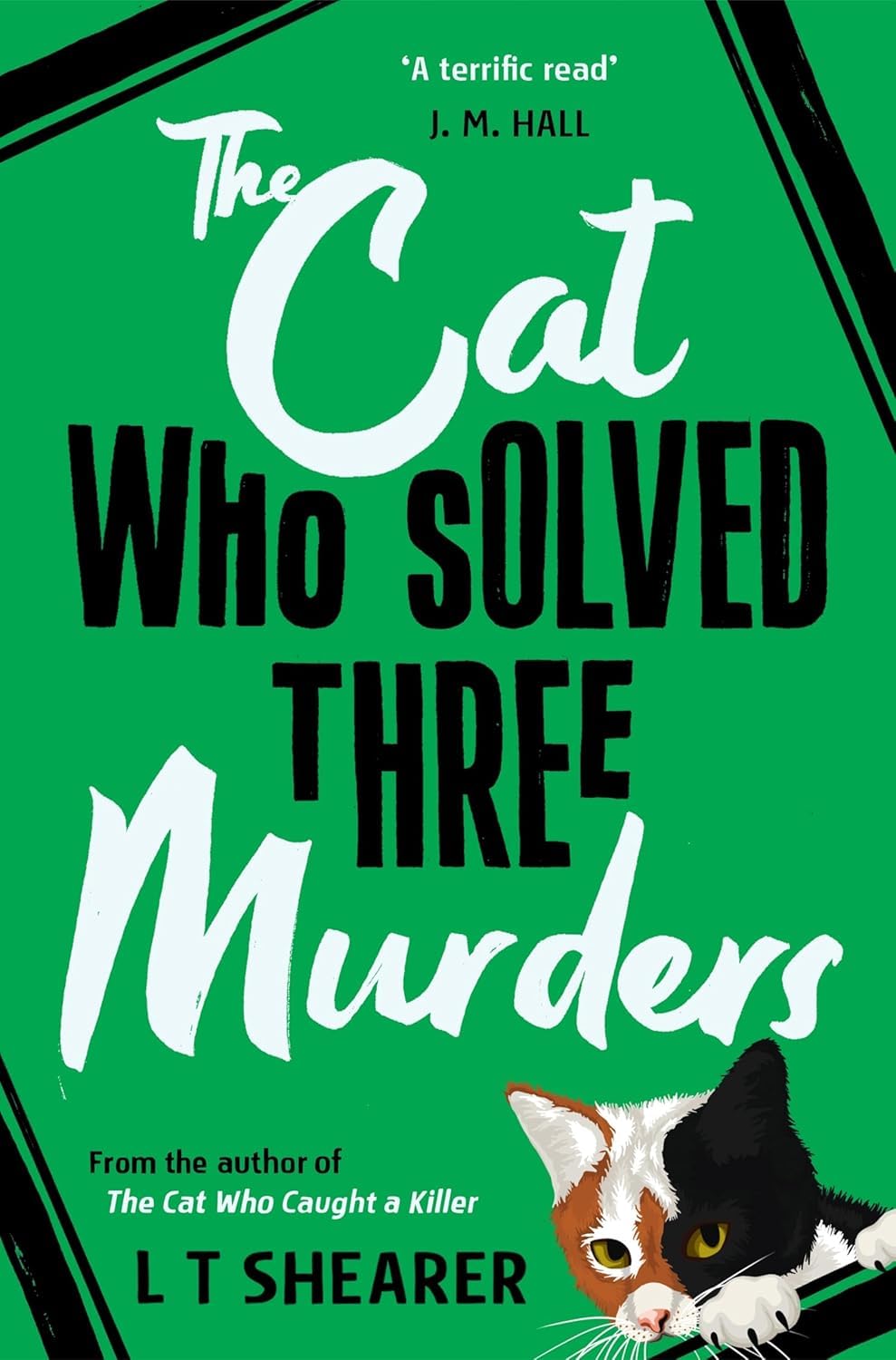 Conrad the Cat Detective 3 Book Collection Set by L T Shearer - close up of cosy mystery paperback set