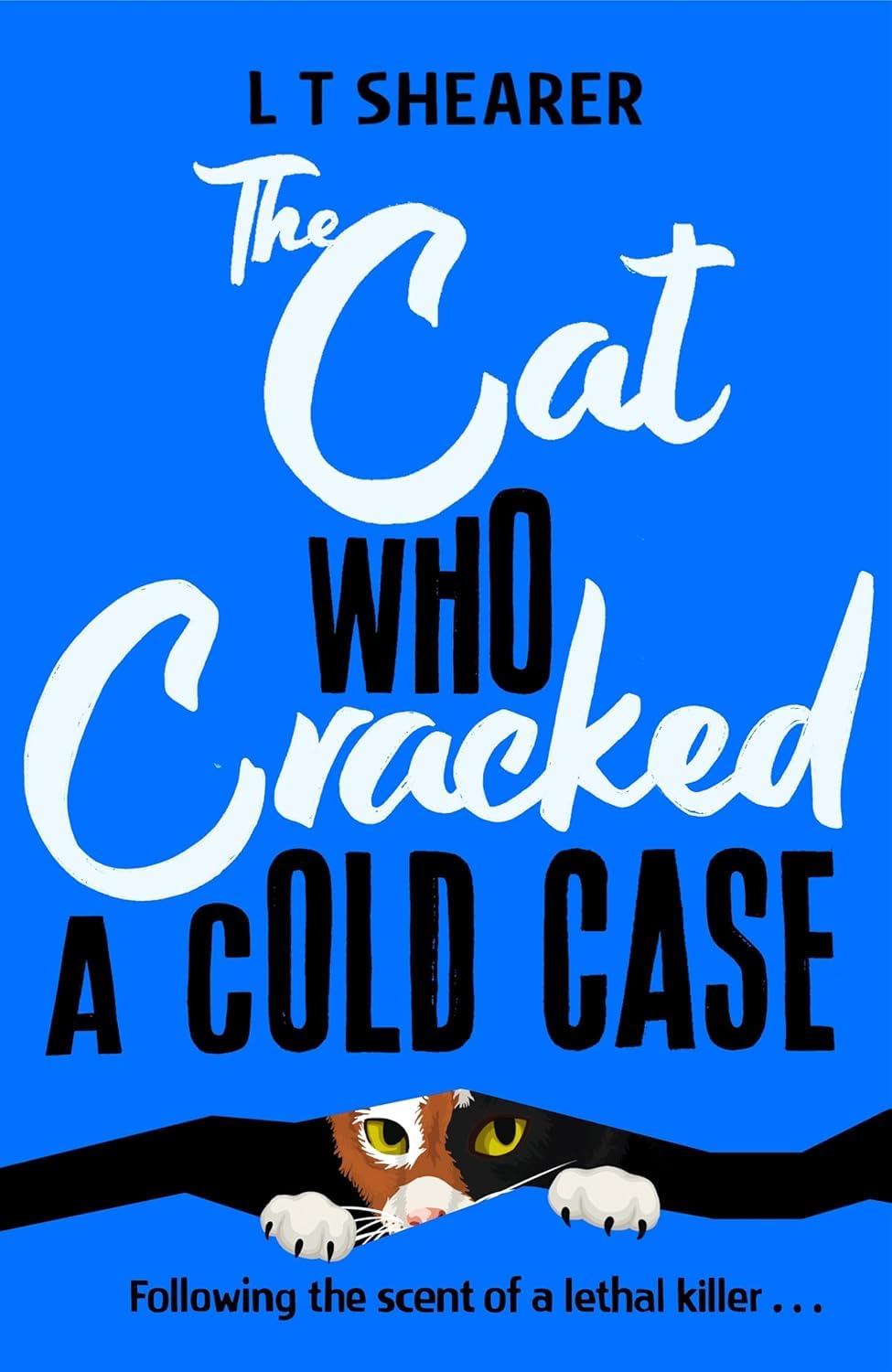 Conrad the Cat Detective 3 Book Collection Set by L T Shearer - stacked paperback books