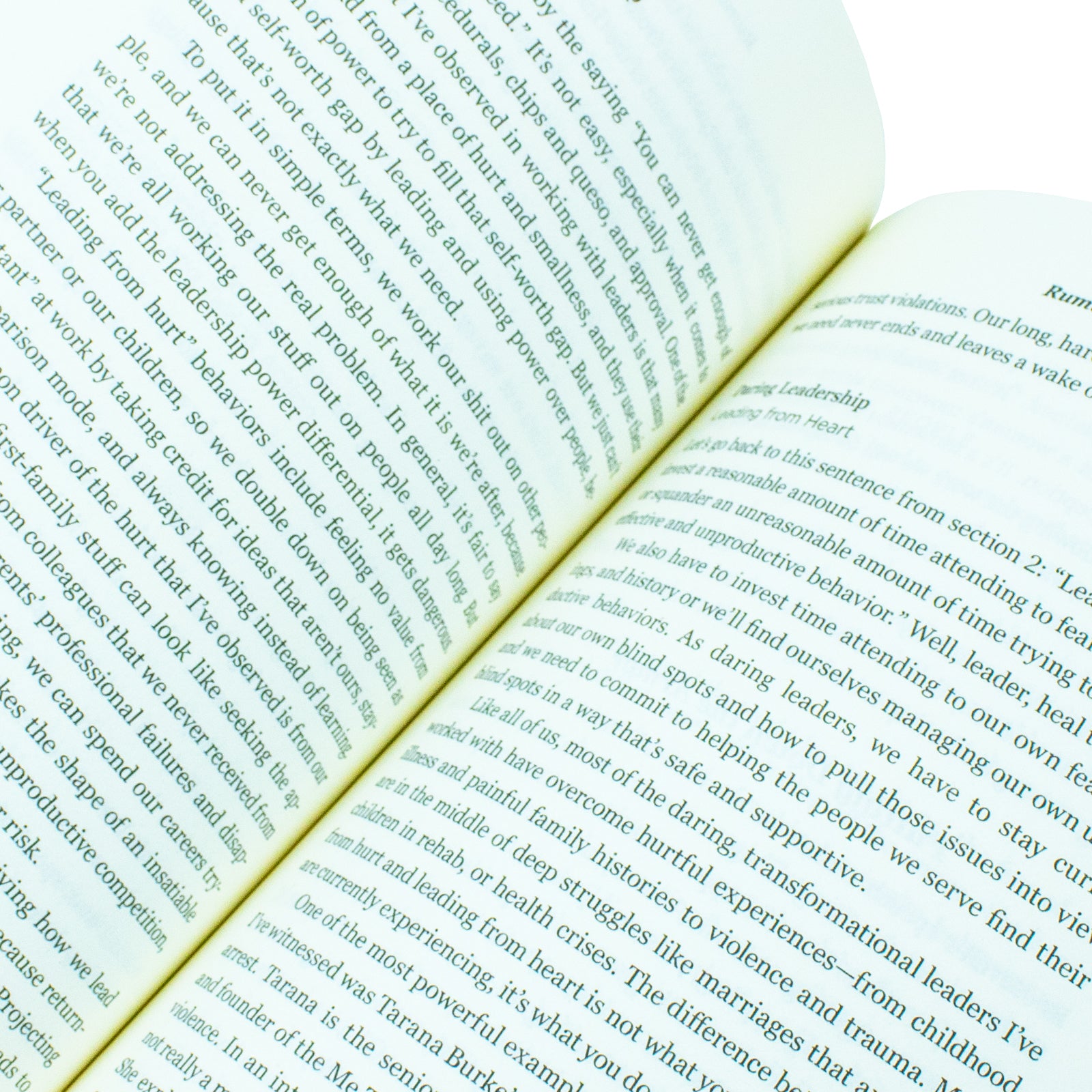Dare to Lead by Brene Brown - Paperback leadership book, additional detail view