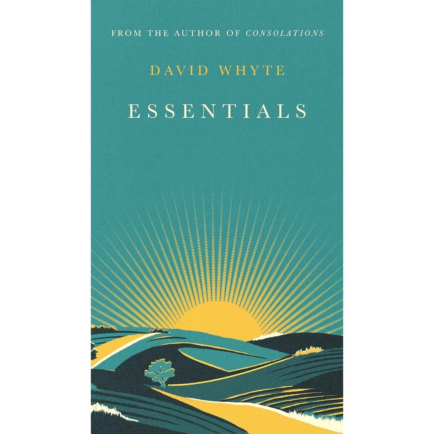 Essentials by David Whyte hardback poetry book from the 2 book collection set