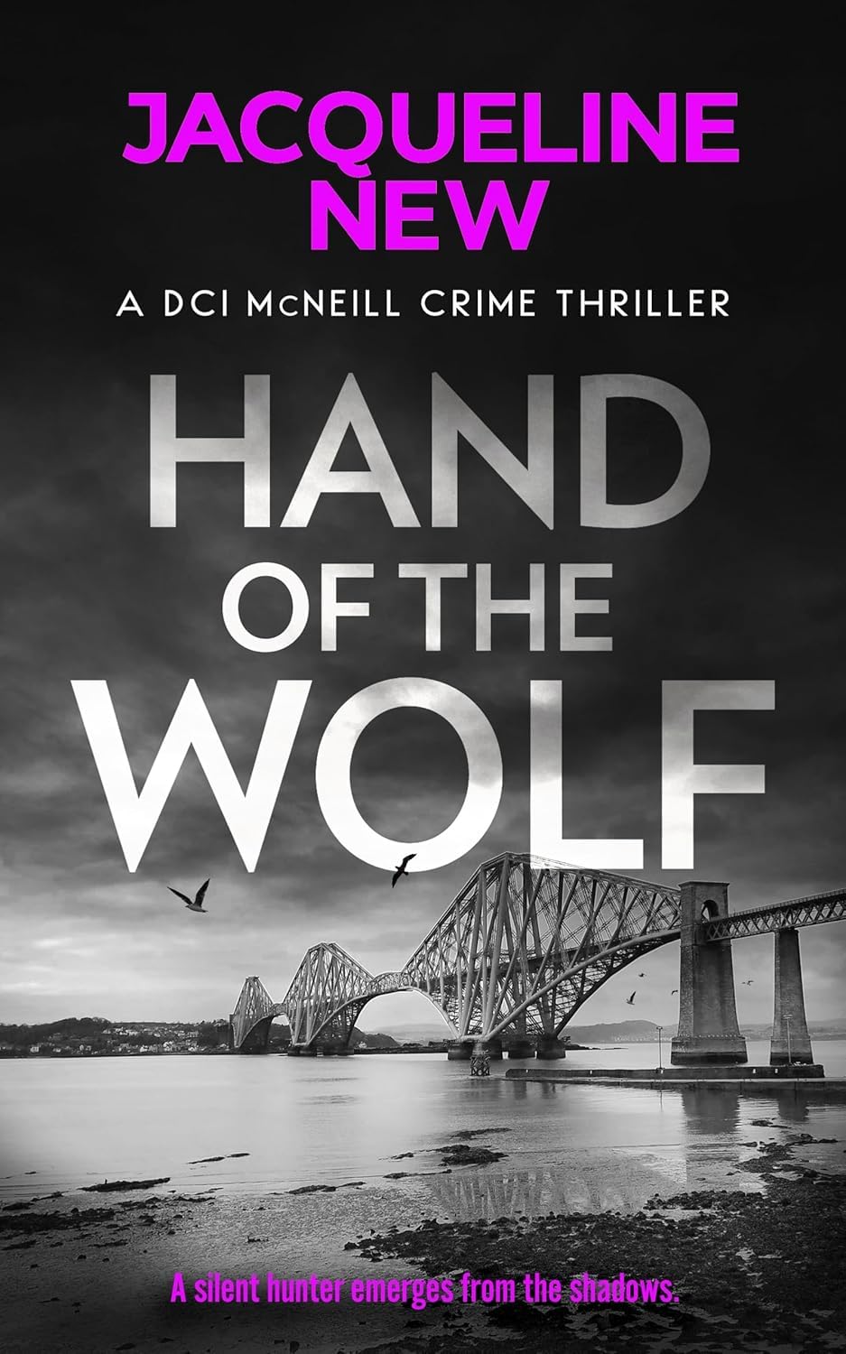 DCI McNeill Crime Thriller Series 5 books collection set by Jacqueline New, paperback Scottish crime fiction