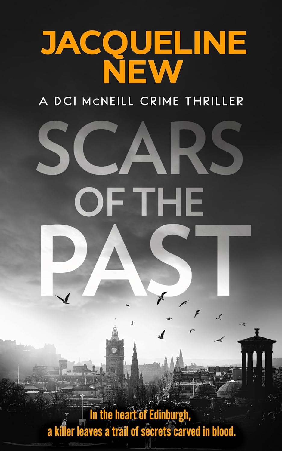 DCI McNeill Crime Thriller Series by Jacqueline New - paperback book cover, Sins of the Fathers