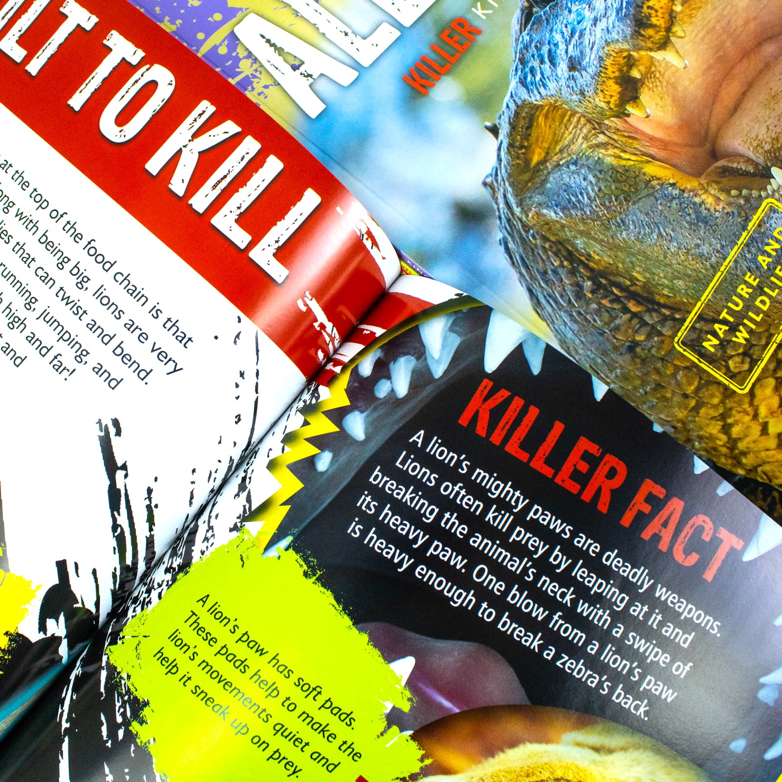 Deadly Predators Killer Kings of the Animal Kingdom 6 Books Collection Set - inside pages showing Alligator facts