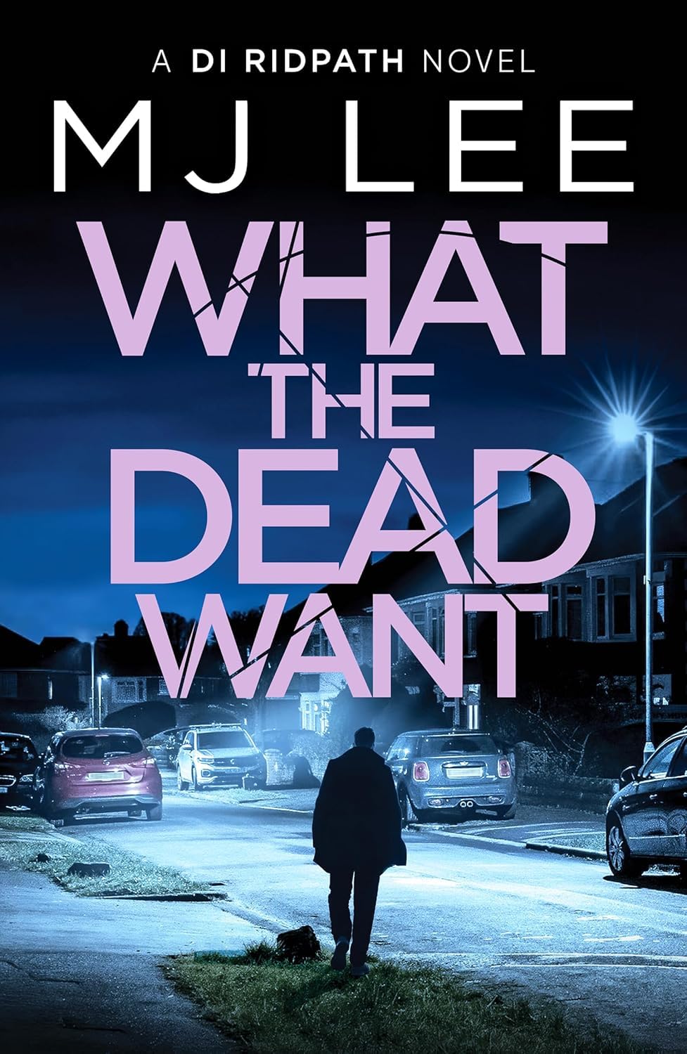 DI Ridpath crime thriller series 10 book paperback collection by M J Lee