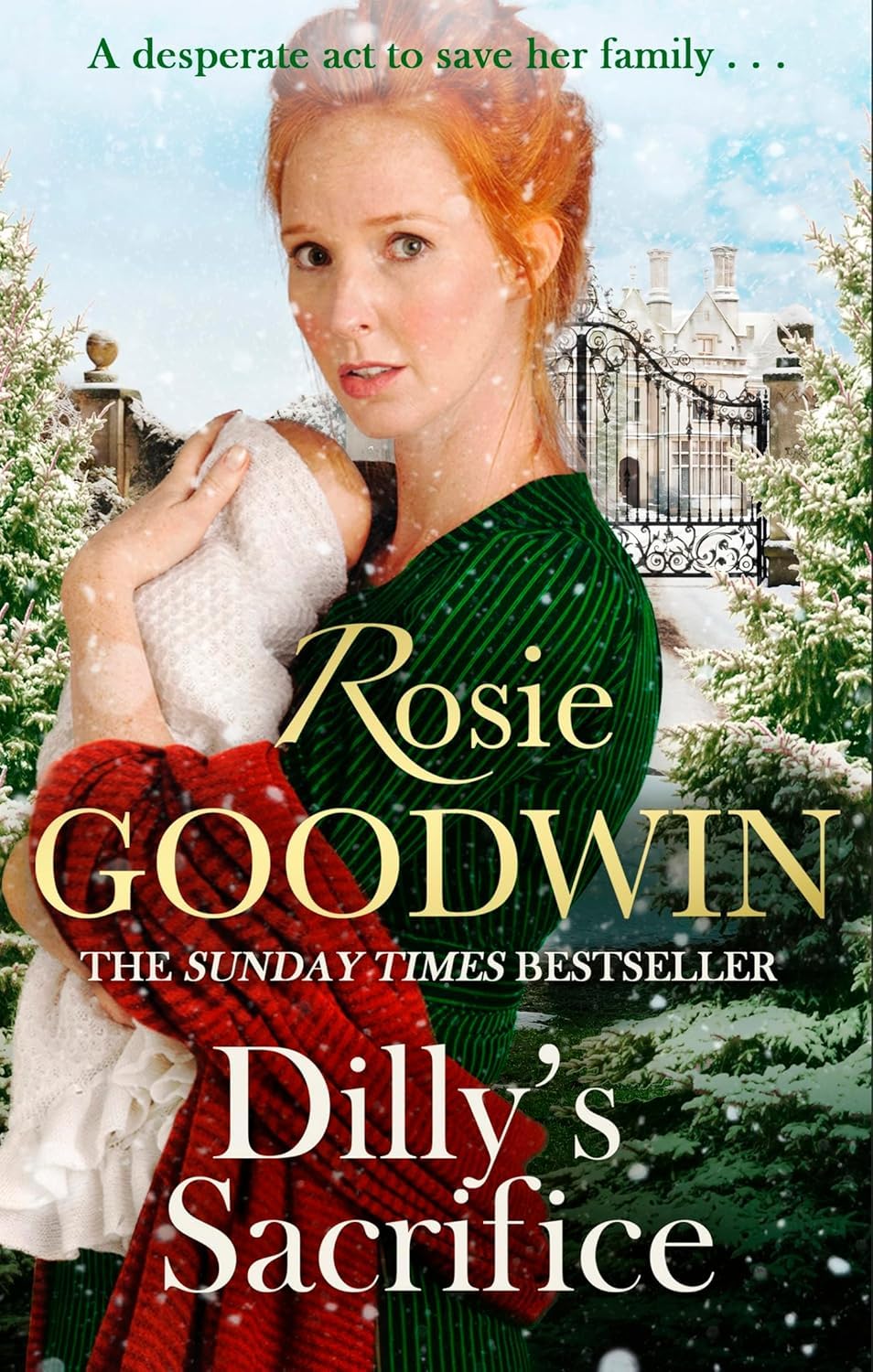 Dilly's Story Series by Rosie Goodwin back cover blurb, paperback set