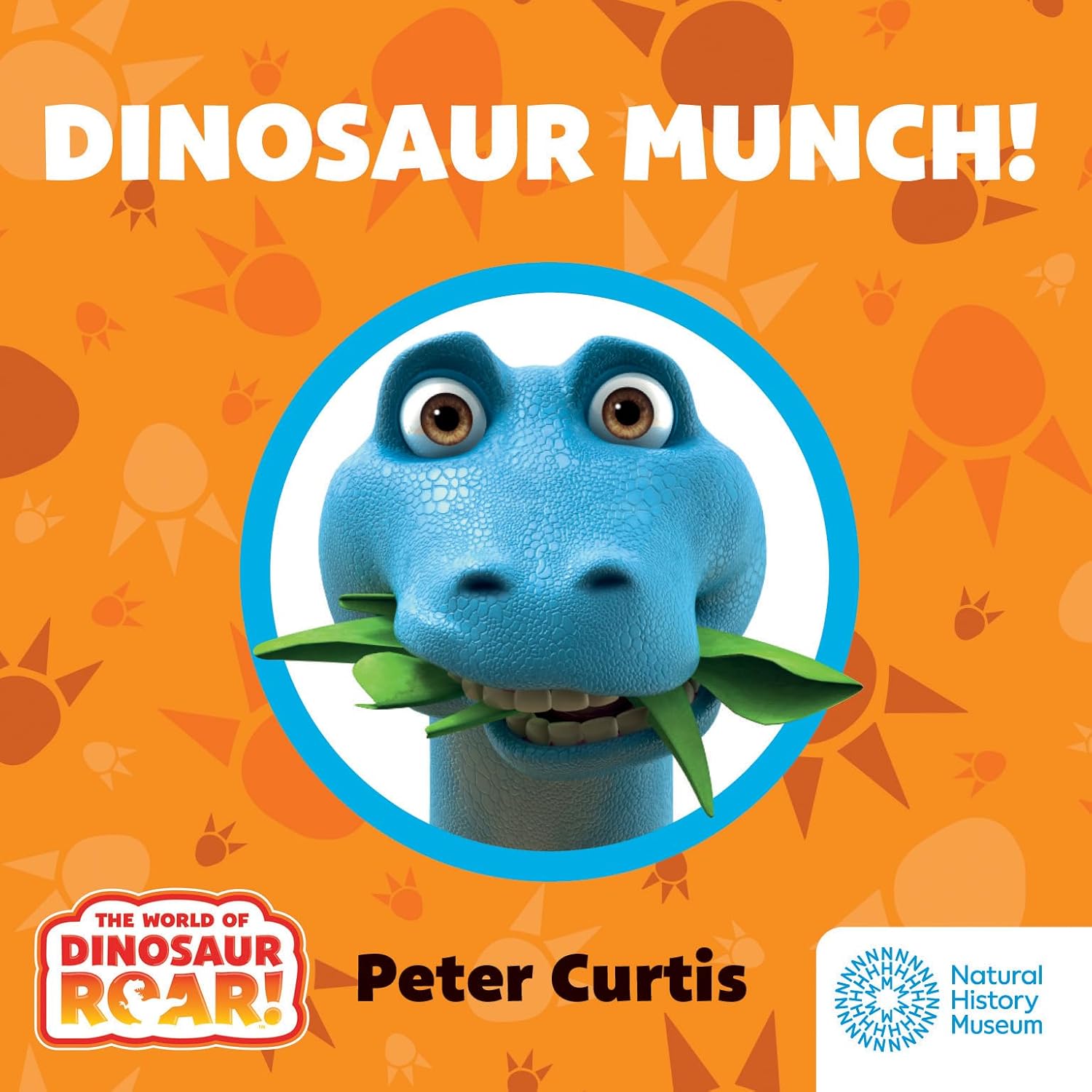 Close-up detail of the Dinosaur Roar! What Dinosaur Am I? board book set illustrations for young children