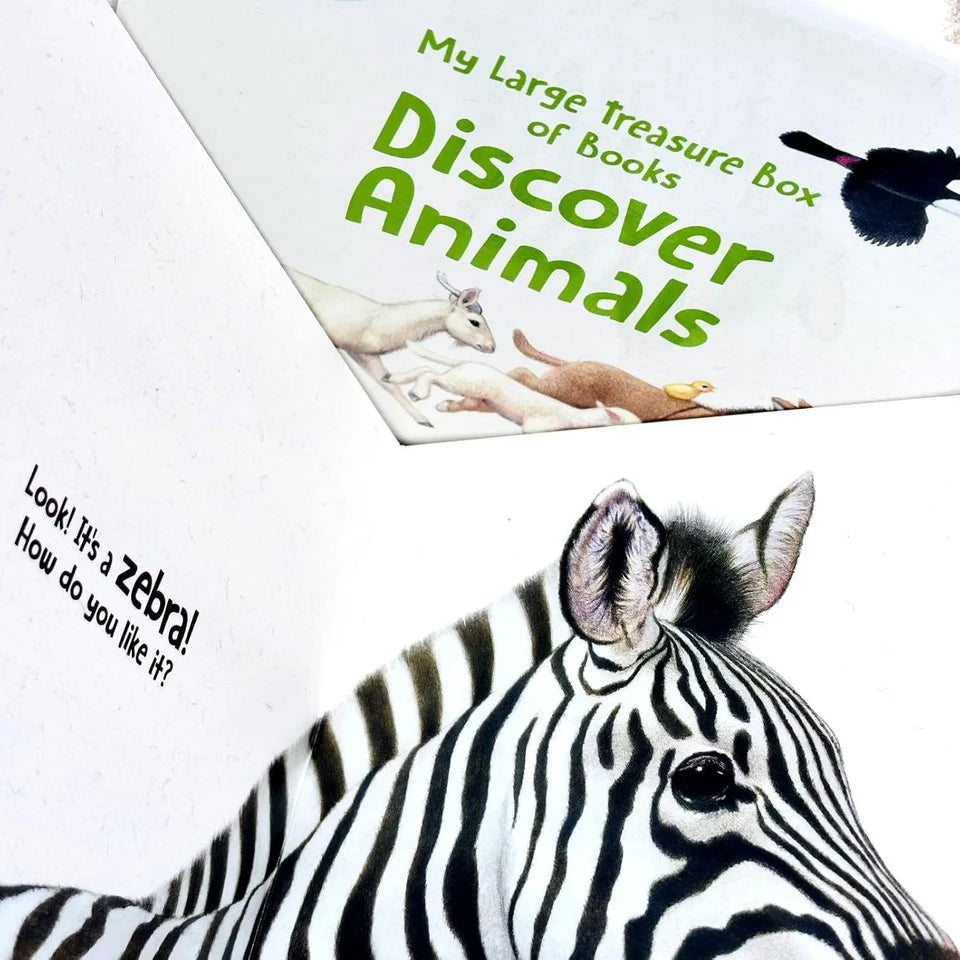 Close-up of Discover Animals board book cover art featuring farm and zoo animals