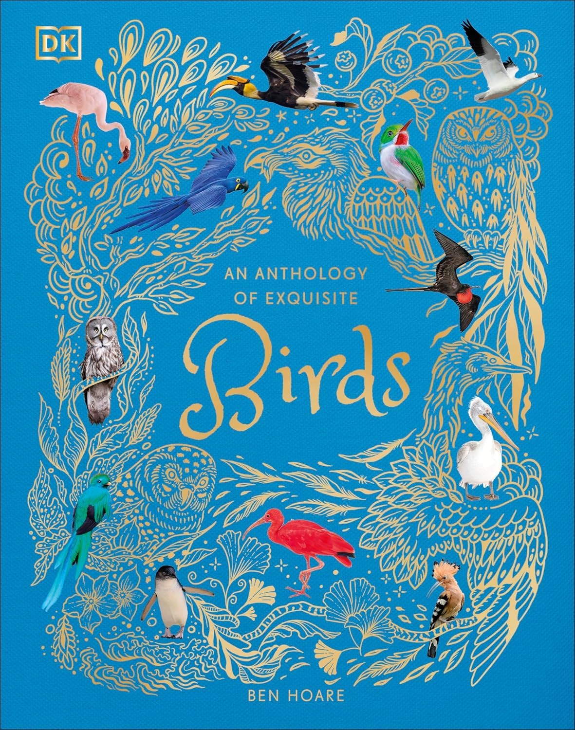 DK Children's Anthologies 3 book hardback collection set - Bugs, Earth and Birds, ages 7-9