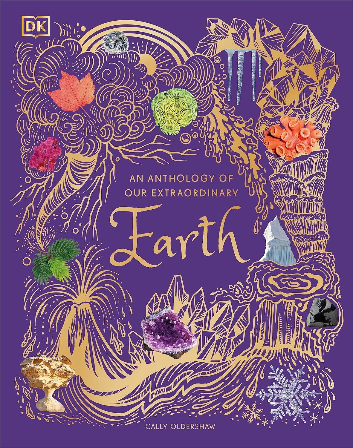 An Anthology of Exquisite Birds - DK Children's Anthologies hardback cover, ages 7-9