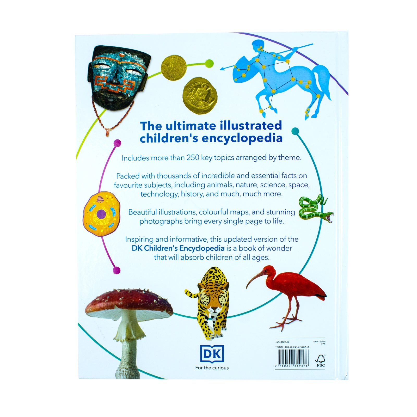 DK Children's Encyclopedia: The Book That Explains Everything - Hardback interior pages, illustrated facts for kids