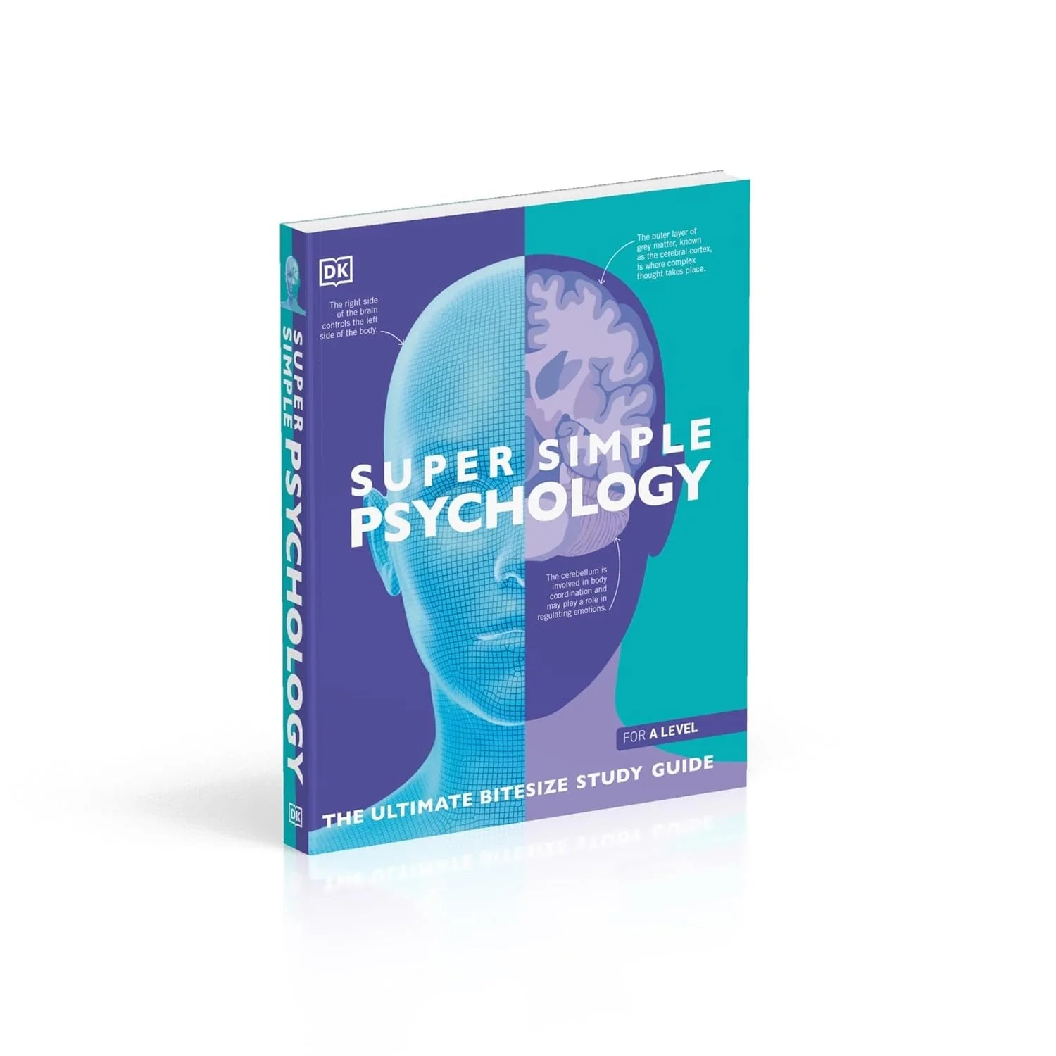 DK Super Simple Psychology Study Guide - Inside Page Showing Brain and Memory Topic Spread