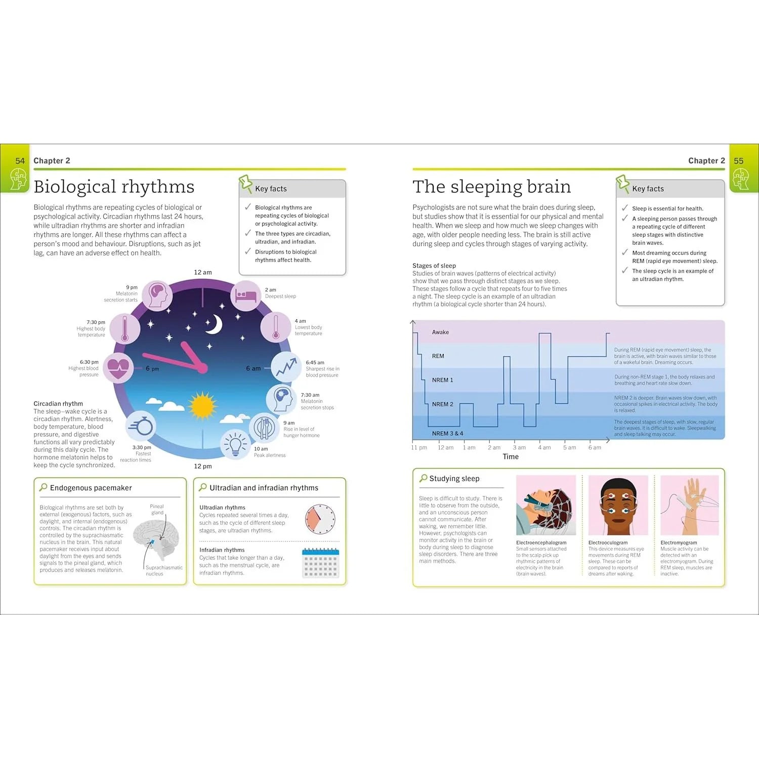 DK Super Simple Psychology Study Guide - Inside Page with Key Facts Revision Box