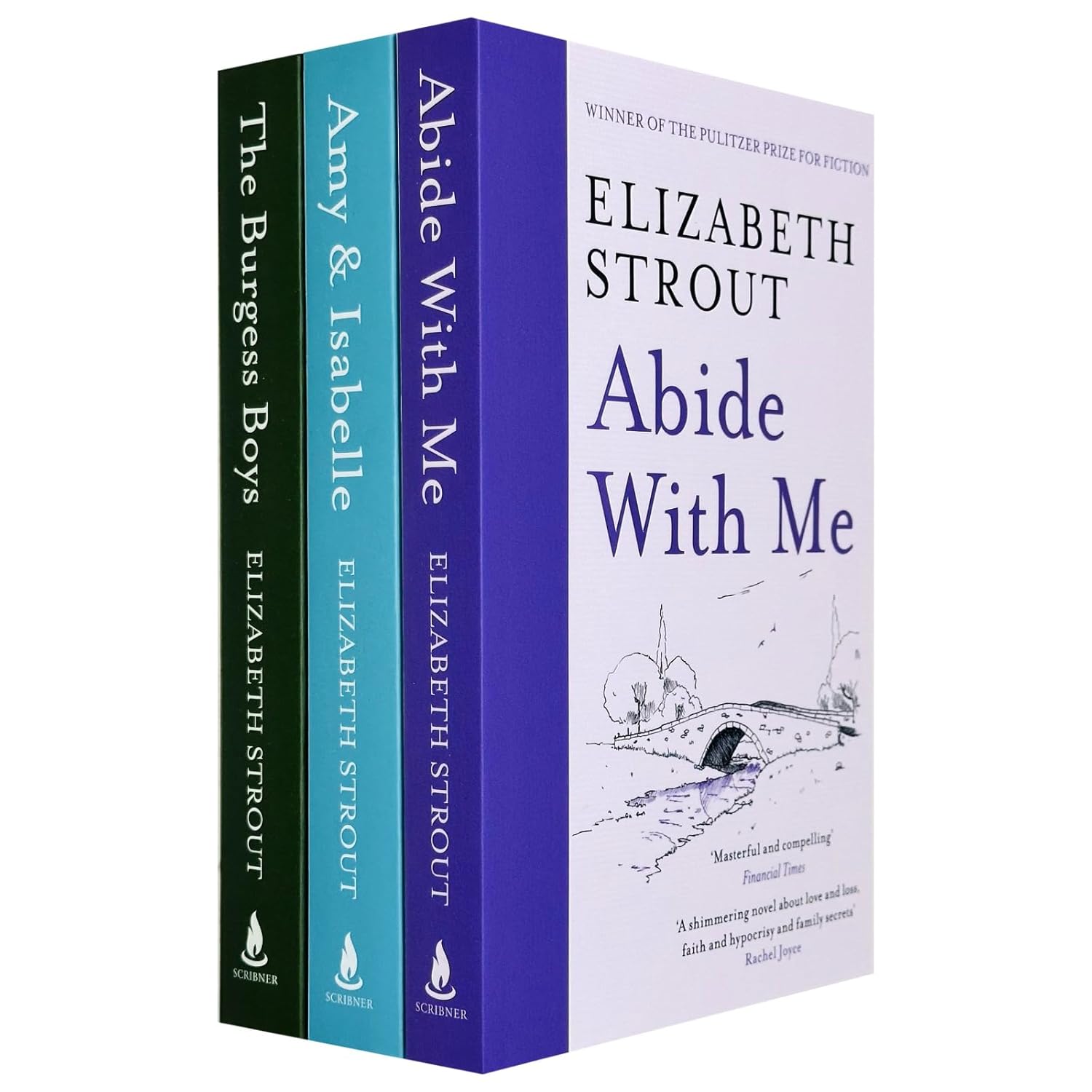 Elizabeth Strout 3 Books Collection Set paperback - Amy and Isabelle, Abide With Me, The Burgess Boys - front cover