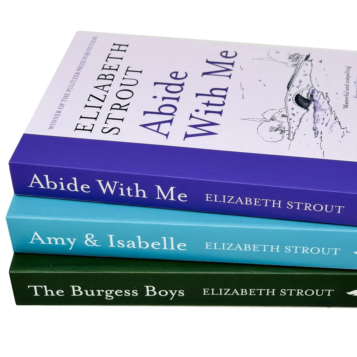 Elizabeth Strout 3 Books Collection Set paperback - Amy and Isabelle novel cover close up