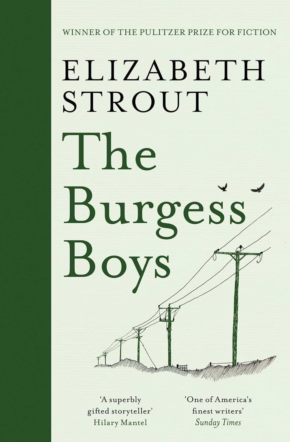 Elizabeth Strout 3 Books Collection Set paperback - spines showing Amy and Isabelle, Abide With Me, The Burgess Boys