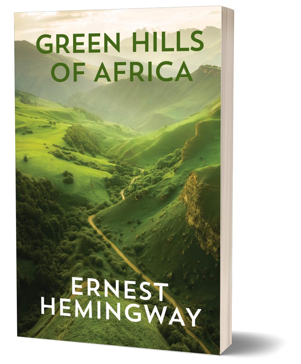 Ernest Hemingway 6 Books Collection Set paperback stack including For Whom the Bell Tolls